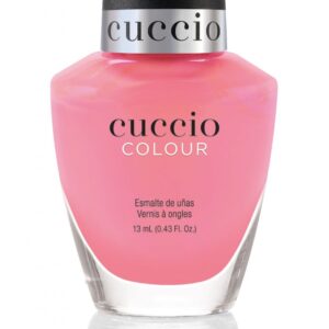 PUNCH SORBET