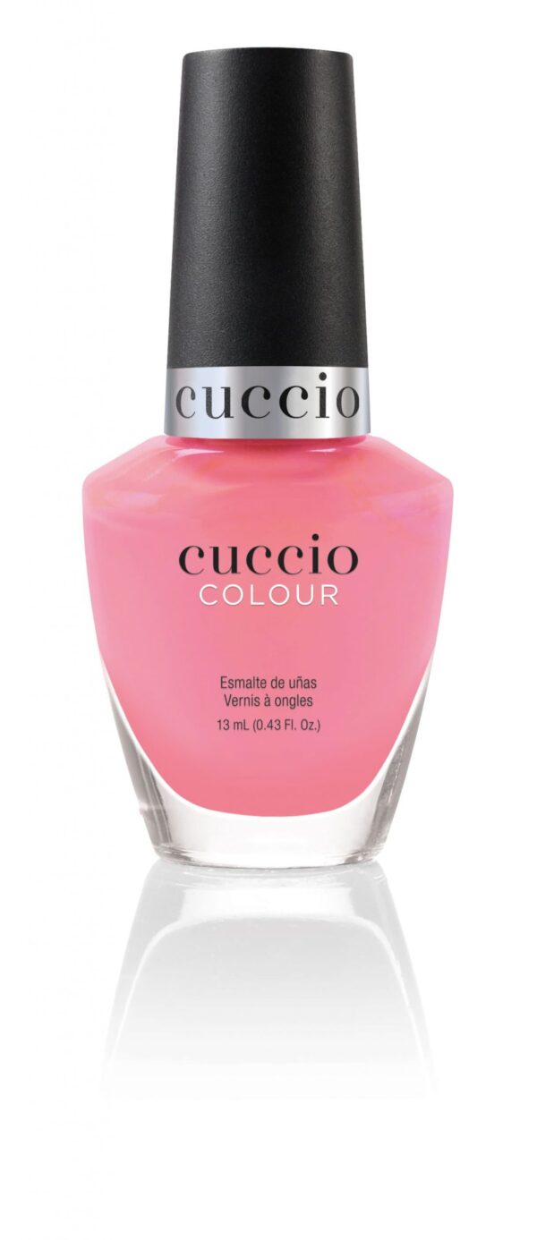 PUNCH SORBET