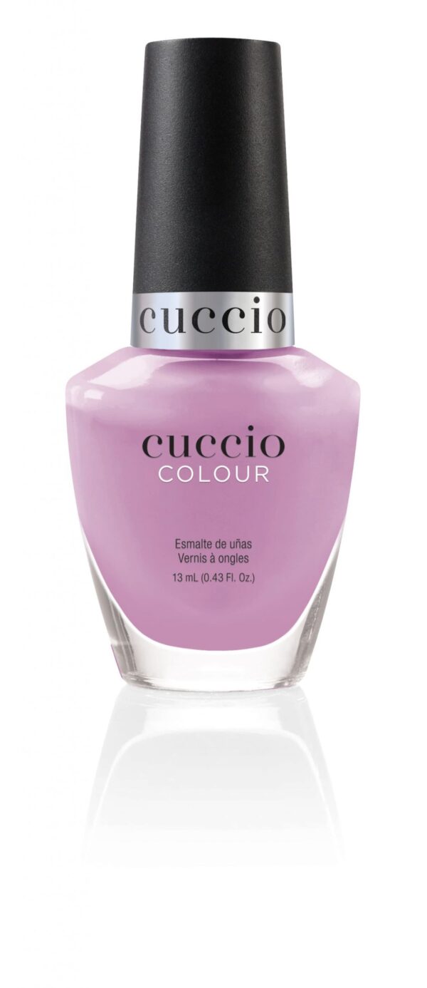LAVENDER SORBET