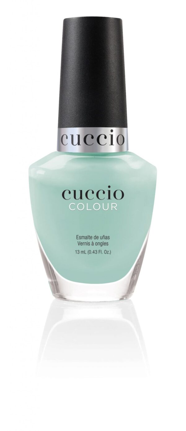 MINT SORBET