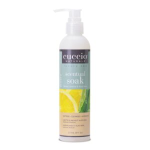 White Limetta & Aloe Vera Scentual Soak